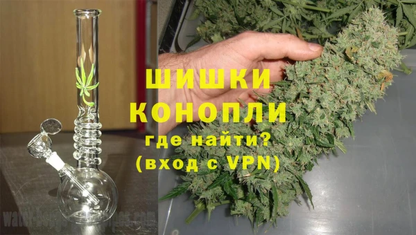 ГАЛЛЮЦИНОГЕННЫЕ ГРИБЫ Армянск