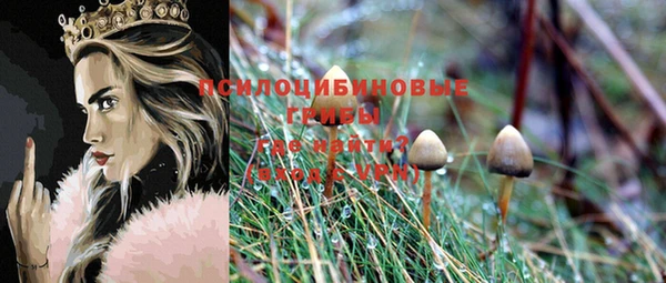 ГАЛЛЮЦИНОГЕННЫЕ ГРИБЫ Армянск